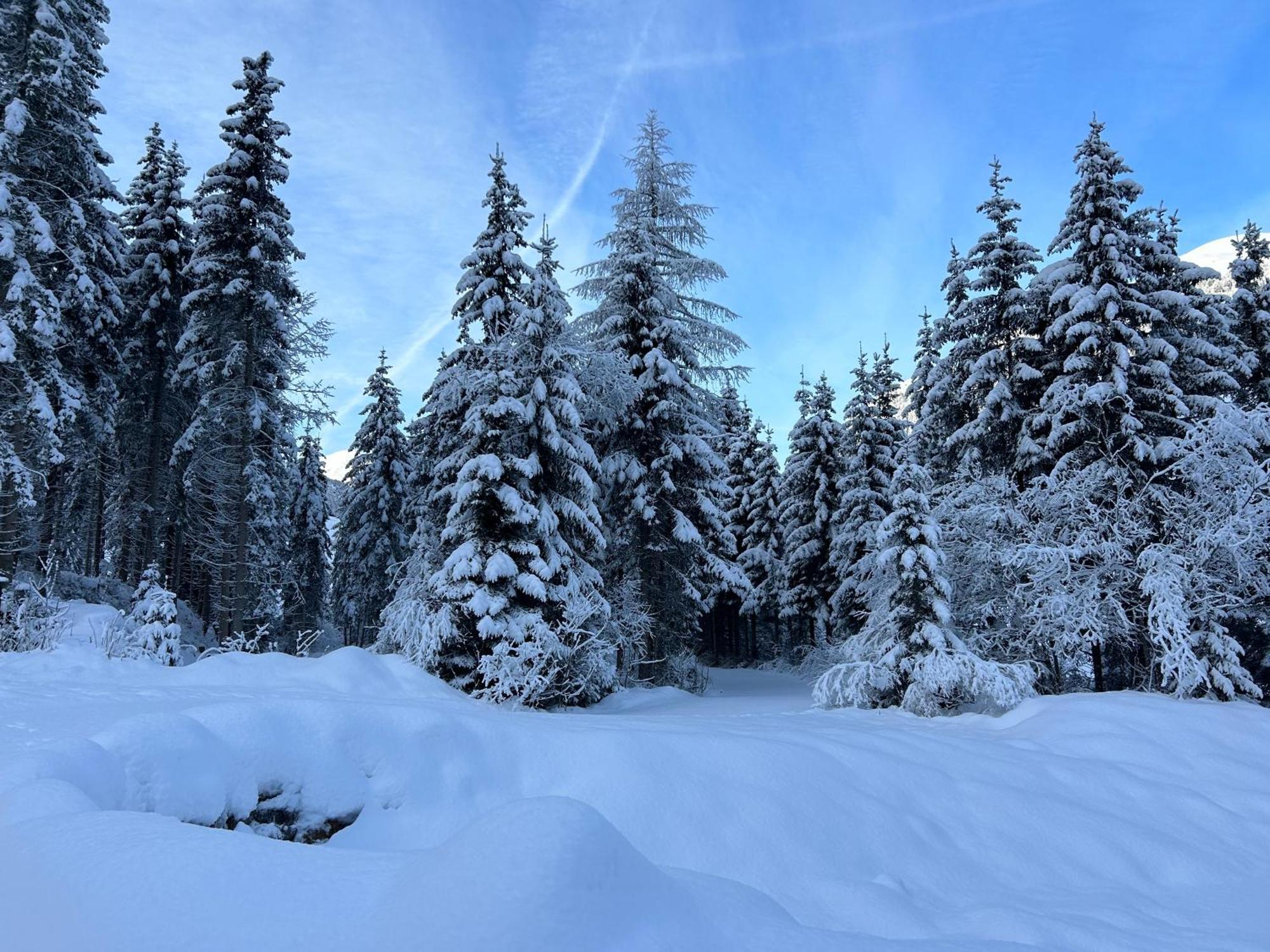 Ferienwohnung Haus Waldblick Hopfgarten in Defereggen Exterior foto